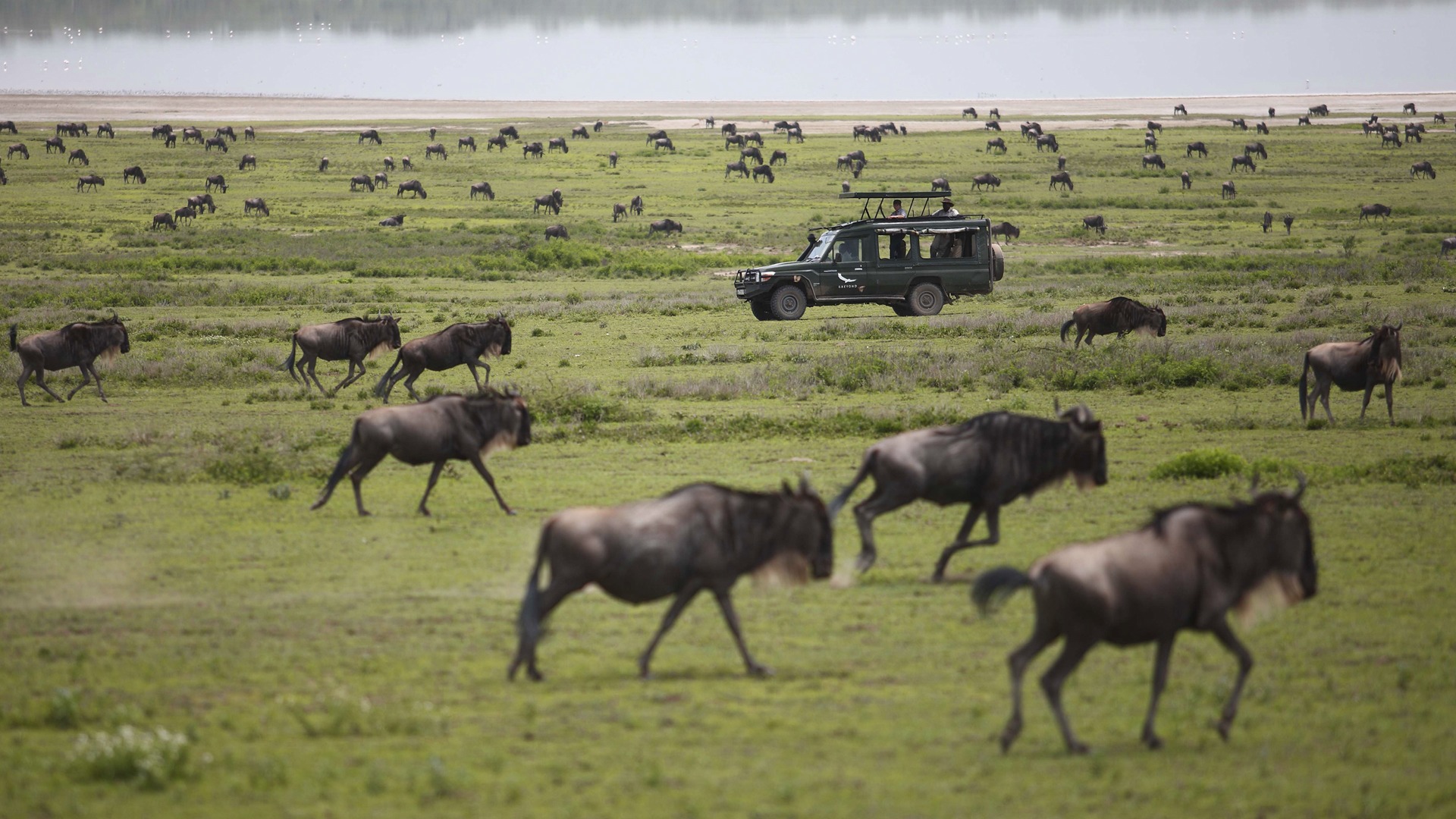 Mombasa & Tsavo