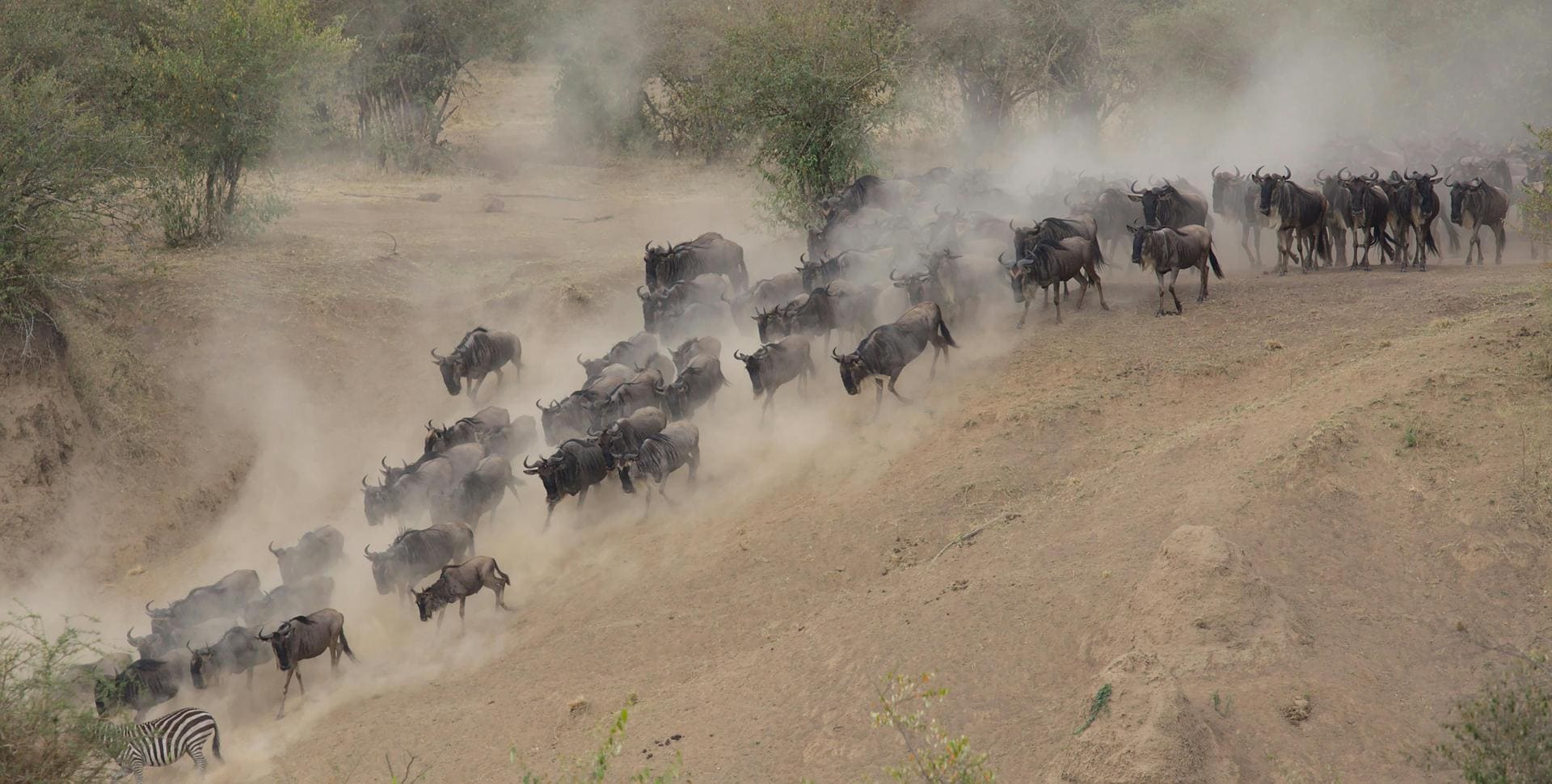 Masai Mara Classic Safari